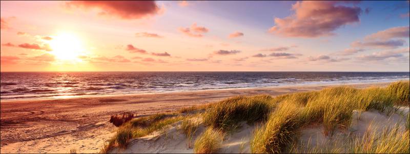 ProArt Glas-Art 80x30cm Sea Harmony ProArt Glas-Art 80x30cm Sea Harmony von ProArt