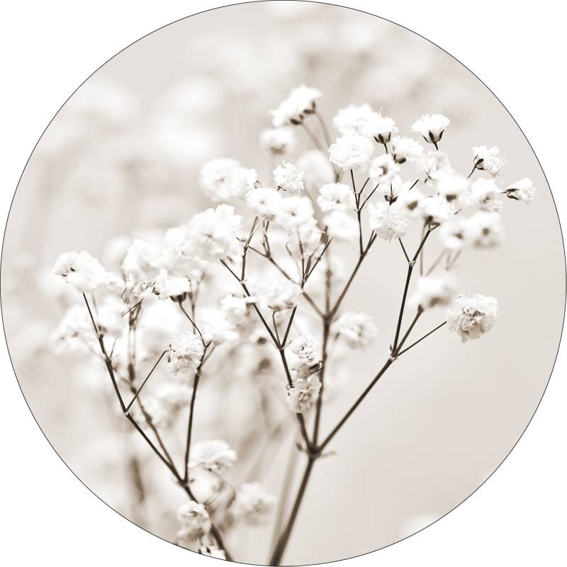 ProArt Glas-Art rund Ø 30cm Meadow Flowers I ProArt Glas-Art rund Ø 30cm Meadow Flowers I von ProArt