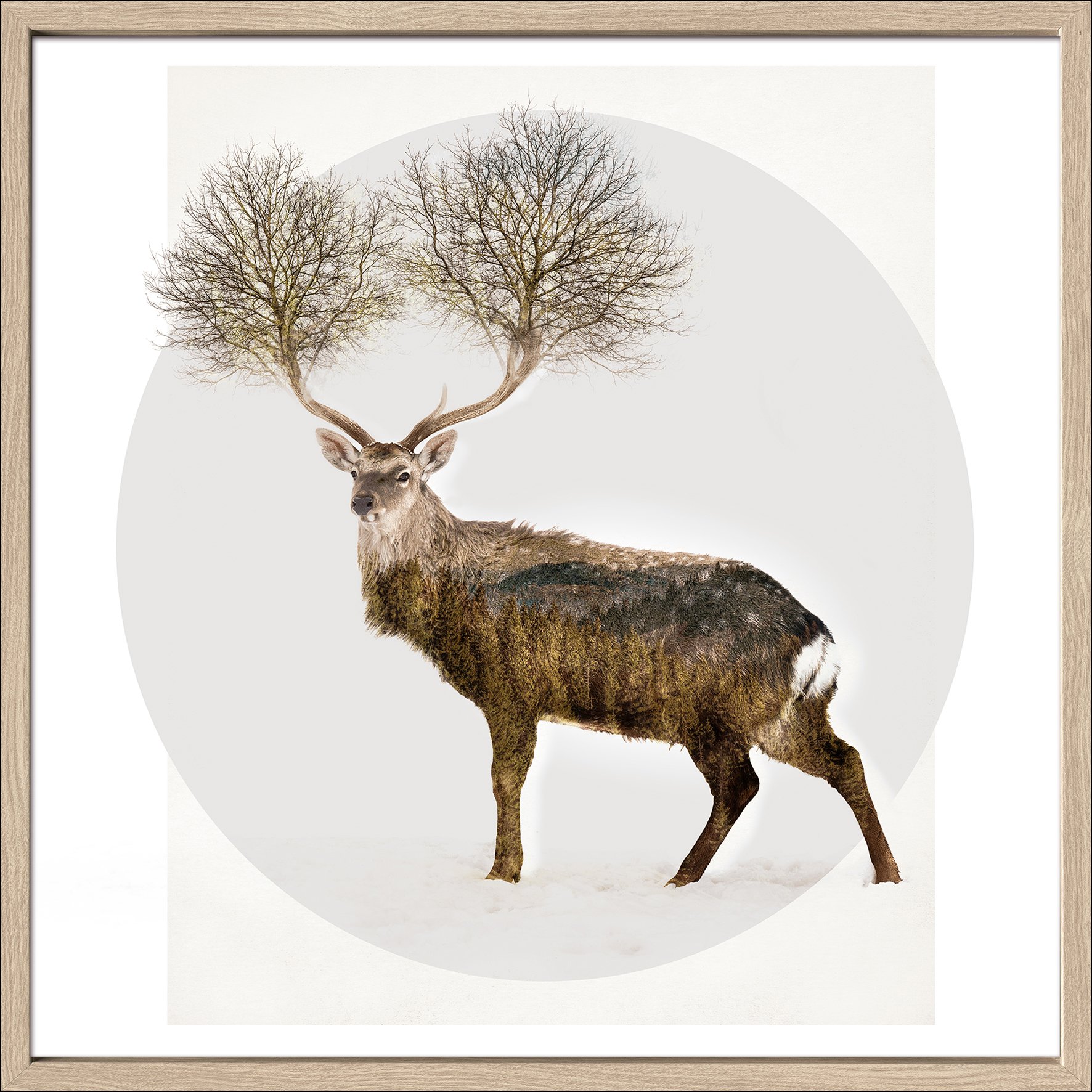 ProArt Kunstdruck, 55 x 55 cm Deer With Trees ProArt Kunstdruck, 55 x 55 cm Deer With Trees von ProArt