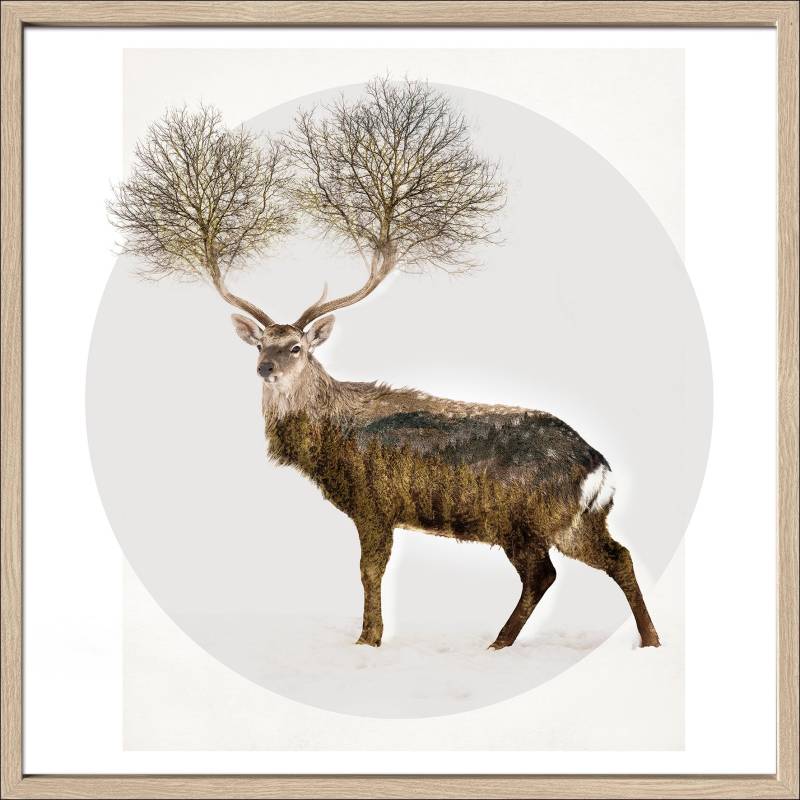 ProArt Kunstdruck, 55 x 55 cm Deer With Trees ProArt Kunstdruck, 55 x 55 cm Deer With Trees von ProArt