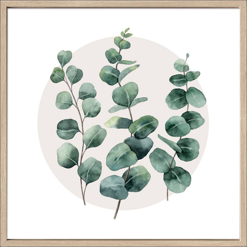 ProArt Kunstdruck, 55 x 55 cm Different Eucalyptus Branches l ca. 55x55cm MDF Rahmen, Glas ProArt Kunstdruck, 55 x 55 cm Different Eucalyptus Branches l ca. 55x55cm MDF Rahmen, Glas von ProArt