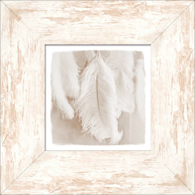 ProArt New Classic Wood 34x34cm The feather II von ProArt