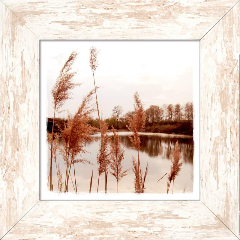 ProArt New Classic Wood 44x44cm Evening at the lake I von ProArt