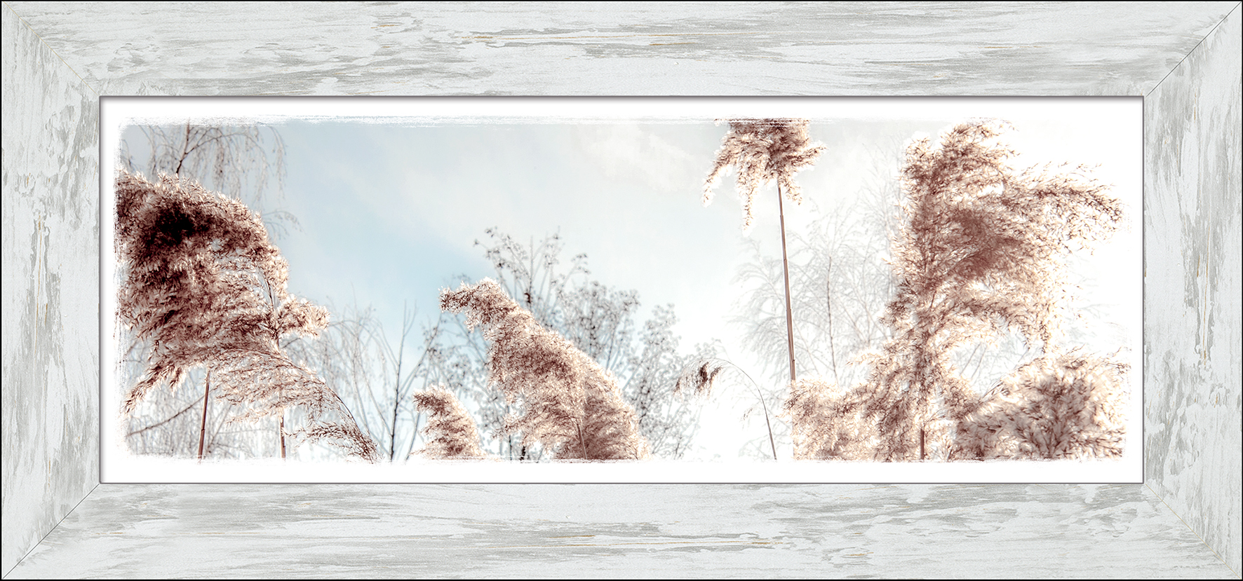 ProArt New Classic Wood 94x44cm Dried Fiber von ProArt