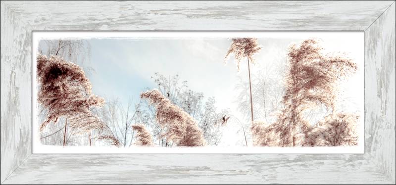 ProArt New Classic Wood 94x44cm Dried Fiber ProArt New Classic Wood 94x44cm Dried Fiber von ProArt