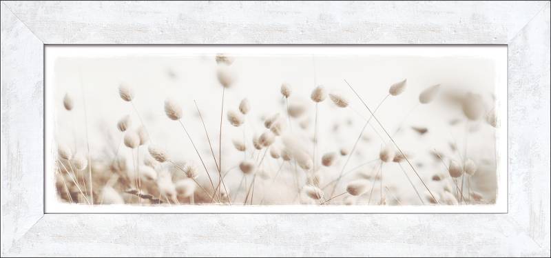 ProArt New Classic Wood 94x44cm Dried fiber in the wind II von ProArt