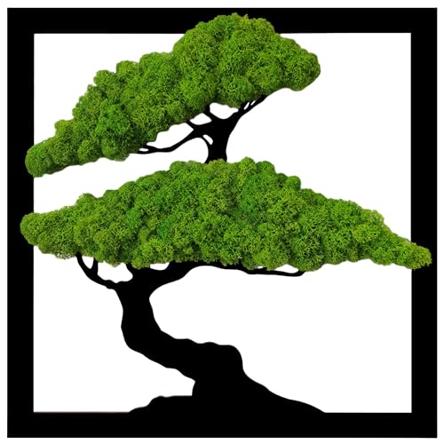 ProArts Moosbild Bonsai Baum Quadrat - Moosbilder mit Rahmen 30x30cm - Mooswand Lebend Natürliches - Pflanzenbild Handgefertigt mit Moos Rentierflechte von ProArts