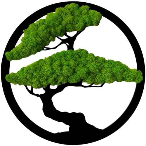 ProArts Moosbild Rund Bonsai Baum - Moosbilder mit Rahmen 30x30cm - Mooswand Lebend Natürliches - Pflanzenbild Handgefertigt mit Moos Rentierflechte von ProArts