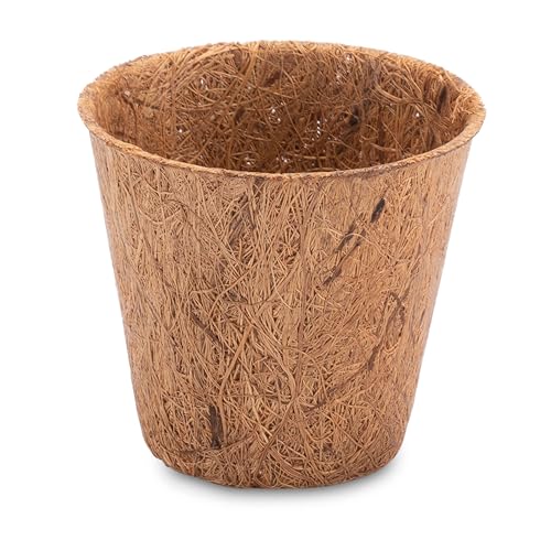 ProFlora® Kokos Anzuchttöpfe für eine erfolgreiche Anzucht - Abbaubare Pflanztöpfe ideal für Stecklinge, Setzlinge & Samen (50ml, 20 Stück) von ProFlora