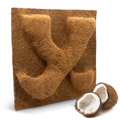 ProFlora® Terrarium Rückwand mit Pflanztaschen - Nachhaltige Rückwand aus Kokosfasern für eine natürliche Atmosphäre (50 x 50 cm) von ProFlora