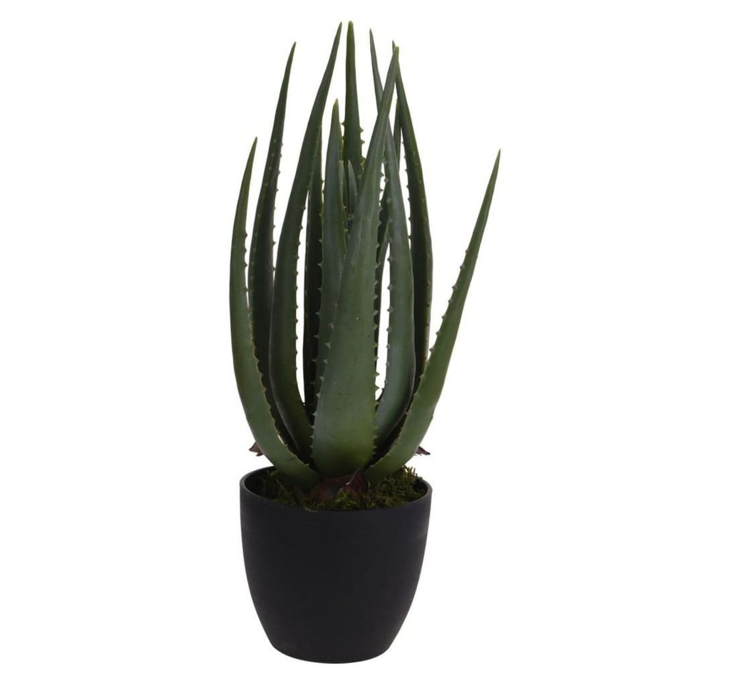 Kunstrasen Kunstpflanze im Topf Aloe Vera 25x45 cm, Progarden, Höhe: 45 mm von Progarden