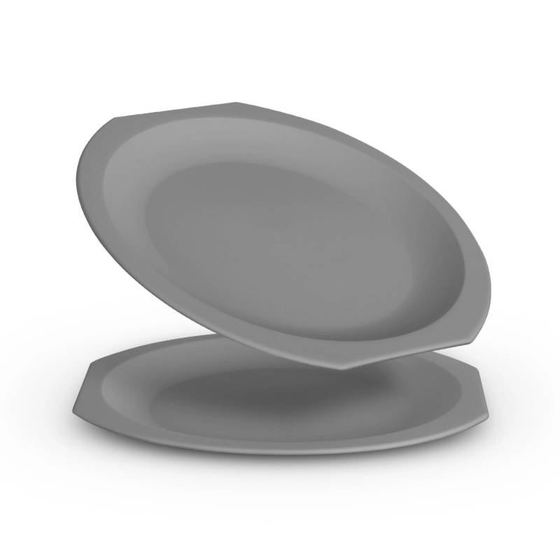 ProHome Kunststoff Teller BPA Frei Ø23 cm Grau 2er Pack von ProHome