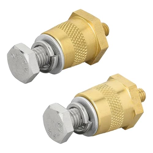 2x Batteriepoladapter M6/M8 mit Zink o. Messing – Batterieklemmen KFZ 12V Lithium Batterie Plus/Minus Korrosionsgeschützt Batteriepole (Messing M6 Schraube, Unterlegscheibe -40°C-+90°C) von ProPlus