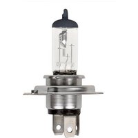 ProPlus 410362 Halogen Leuchtmittel H4 55W 12V ProPlus 410362 Halogen Leuchtmittel H4 55W 12V von ProPlus