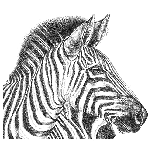 BJÖRKSTA Bild 140x100cm Zebra Zeichnung von ProTuning