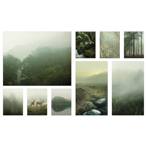 PJÄTTERYD Bild 9er Set Nebel im Wald 179x112cm von ProTuning