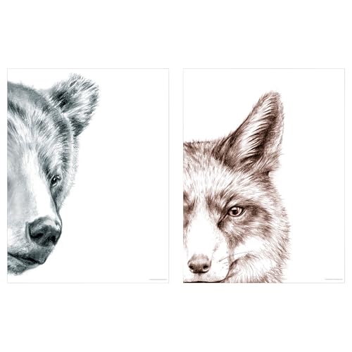 ProTuning BILD Poster, Bär und Fuchs, 30 x 40 cm von ProTuning