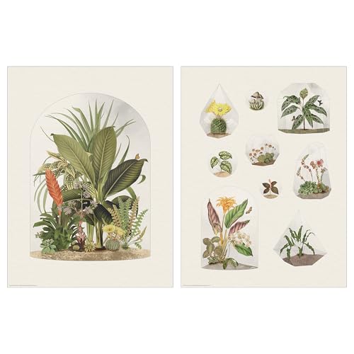 ProTuning BILD Poster 30x40cm Tropical Terraria von ProTuning