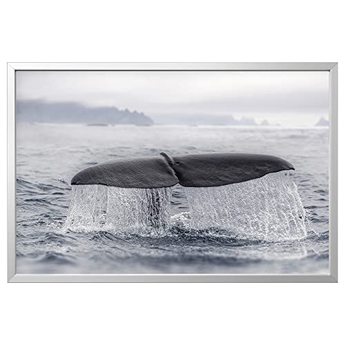 ProTuning BJÖRKSTA Bild mit Rahmen, 118x78cm, Walschwanz/alufarben von ProTuning