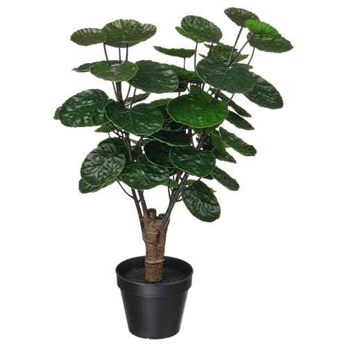 ProTuning FEJKA Künstliche Topfpflanze, In/Outdoor Aralia, 12 cm von ProTuning