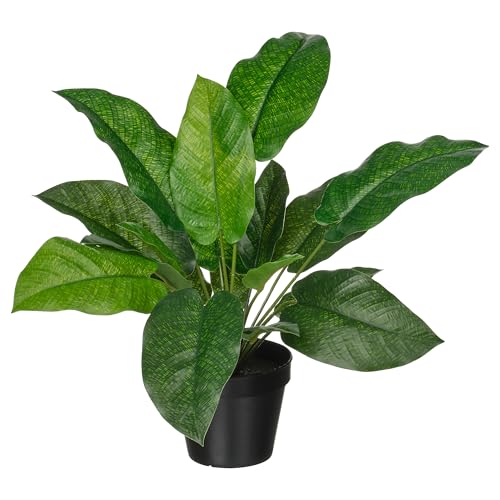 ProTuning FEJKA Künstliche Topfpflanze, In/Outdoor Calathea, 12 cm von ProTuning