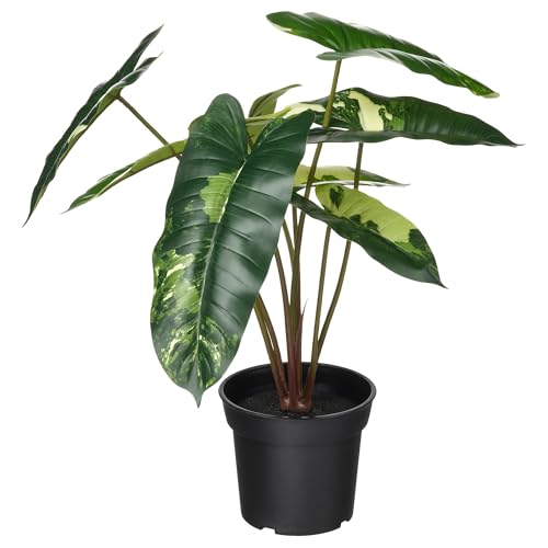 ProTuning FEJKA Künstliche Topfpflanze, In/Outdoor Philodendron/Grün/Weiß, 15 cm von ProTuning
