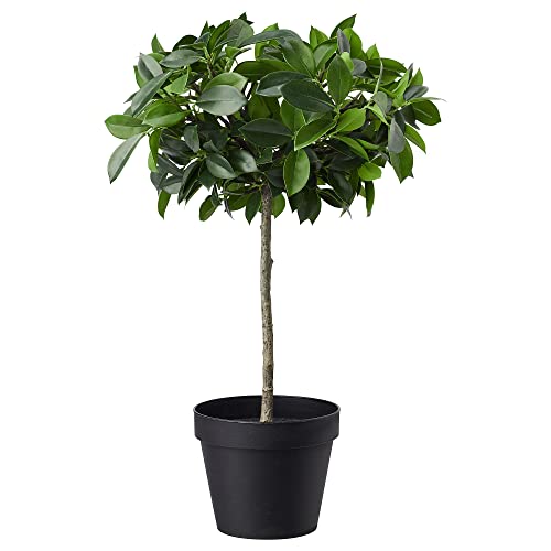 ProTuning FEJKA Künstliche Topfpflanze 12 cm In/Outdoor/Weeping Feigenstiel von ProTuning