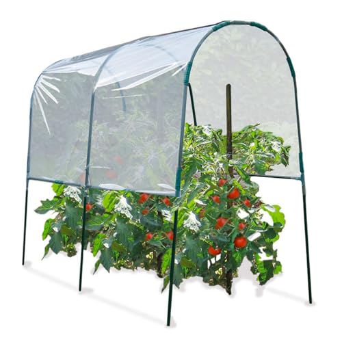 ProBache für Tomaten, 2 m von Probache