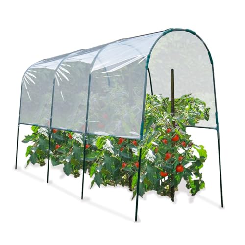 ProBache für Tomaten, 4 m von Probache
