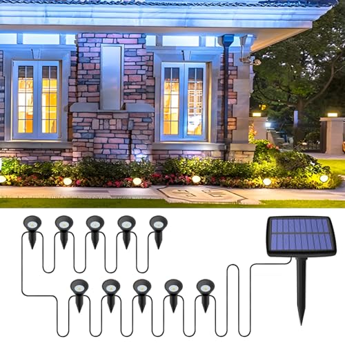 Probuk Solar Bodenleuchten Aussen, Solarleuchten für Garten Außen mit 10LEDs, 3000K Warmweiß Wasserdicht Led Solar Gartenleuchten, Solarlampen für Außen Rasen Auffahrt Gehweg Patio (Warm-Weiß) von Probuk