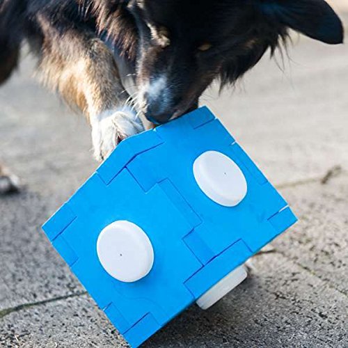 Procyon Dog Agility Schnüffel-Cube Procyon Dog Agility Schnüffel-Cube von Procyon