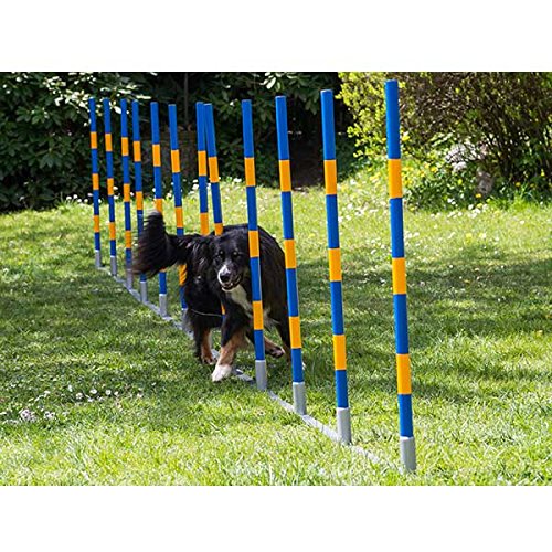 Procyon Dog Agility Profi Alu Slalom Procyon Dog Agility Profi Alu Slalom von Procyon