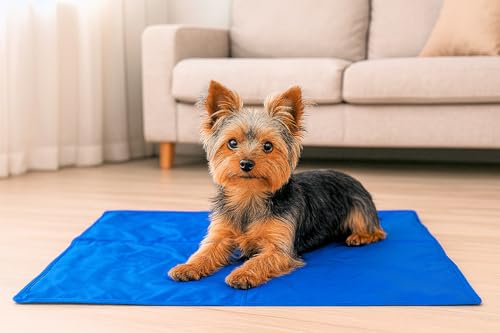 Procyon Kühlmatte für Hunde – Gel-Kühlmatte druckaktiviert - kein Einfrieren oder Kühlen - Verwendung drinnen, draußen oder im Auto (M (65x50cm)) von Procyon