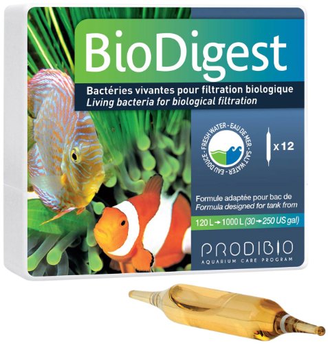 Prodibio Biodigest, 12 Ampullen von Prodibio