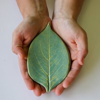 Kleine Blatt Keramik Seifenschale, Handgemachte Keramik, Blattabdruck, Benutzerdefinierte Löffel Ablage, Badezimmer Akzent, Küchenutensil von ProdigalPottery