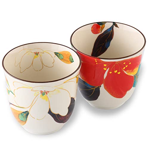 Mino Ware Japanische Teetassen 2er Set 200ml Grüner Tee Matcha Teetasse Keramik Teetassen Japanische Geschenke von Product of Gifu Japan