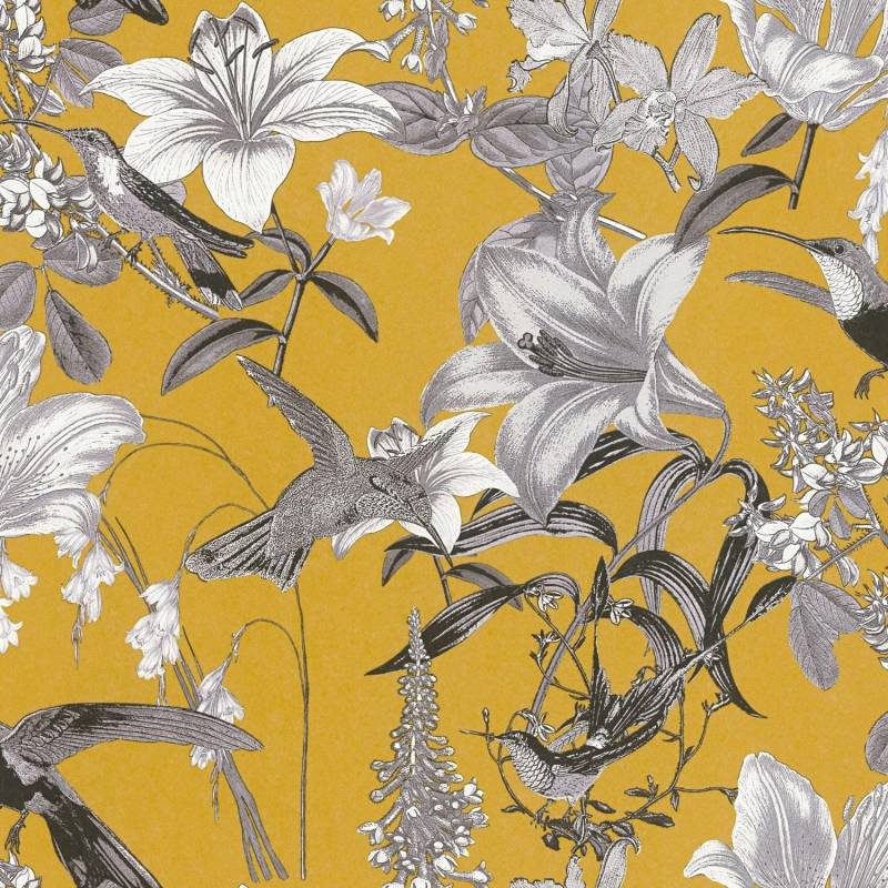 PROFHOME 377013-GU Blumen Tapete Kolibri Matt Gelb Grau Schwarz 0,53 m x 10,05 m 5,33 m2 Gelb von Profhome