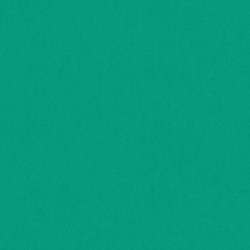 PROFHOME 377491-GU Ton-in-Ton Tapete Uni Matt Grün 0,53 m x 10,05 m 5,33 m2 Grün PROFHOME 377491-GU Ton-in-Ton Tapete Uni Matt Grün 0,53 m x 10,05 m 5,33 m2 Grün von Profhome