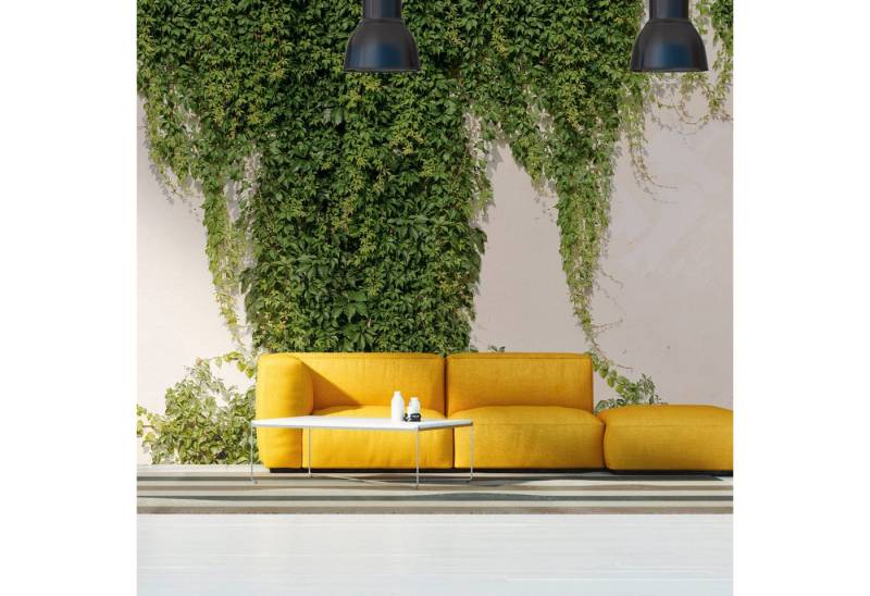 Profhome Vliestapete 392271-GU Fototapete 3D matt grün creme-weiß 3,71 m x 2,8 m, glatt, matt, (1 Rolle, 10.39 qm), heißgeprägte Vliestapete in grün von Profhome