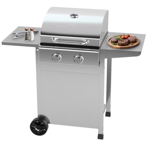 ProfiCook® Gasgrill für Temperaturen bis zu 350°C | Grillroste aus echtem Gusseisen | für Balkon | inkl. Gasdruckminderer und Schlauch | 2 Brenner | klein | 2 Ablagen | PC GG 1309 silber von Profi Cook