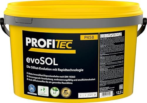 ProfiTec Premium Innensilikat P458 EvoSOL Nachfolger für P457, 5 Liter von ProfiTec
