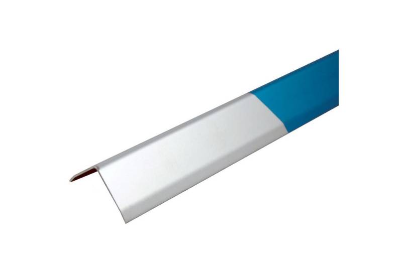 ProfileXXL Profil (Winkelprofil Kantenschutzprofil, 200m, 1-St), Eckleiste Eckschutzprofil aus Edelstahl, widerstandsfähig von ProfileXXL