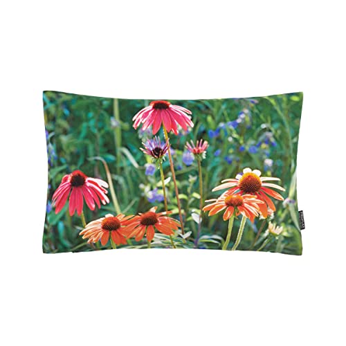 Proflax Kissenhülle Petty, Fotodigitaldruck Echinacea in Pink/Orange, Größe 30 x 50 cm Proflax Kissenhülle Petty, Fotodigitaldruck Echinacea in Pink/Orange, Größe 30 x 50 cm von Proflax