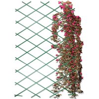 Progarden - Collapsible plastic garden support for climbing plants 4 Progarden - Collapsible plastic garden support for climbing plants 4 von Progarden