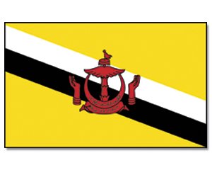 Flagge Brunei - 90 x 150 cm [Misc.] von Prom