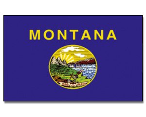 Flagge USA Montana - 90 x 150 cm [Misc.] von Prom