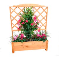 PROMADINO Rankkasten, kiefernholz - braun PROMADINO Rankkasten, kiefernholz - braun von Promadino