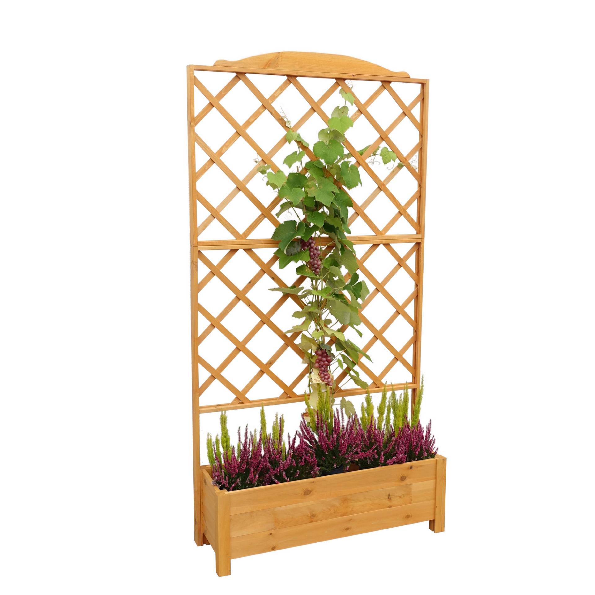 Promadino Rankkasten 'Botanica' braun 110 x 210 x 32 cm Promadino Rankkasten 'Botanica' braun 110 x 210 x 32 cm von Promadino