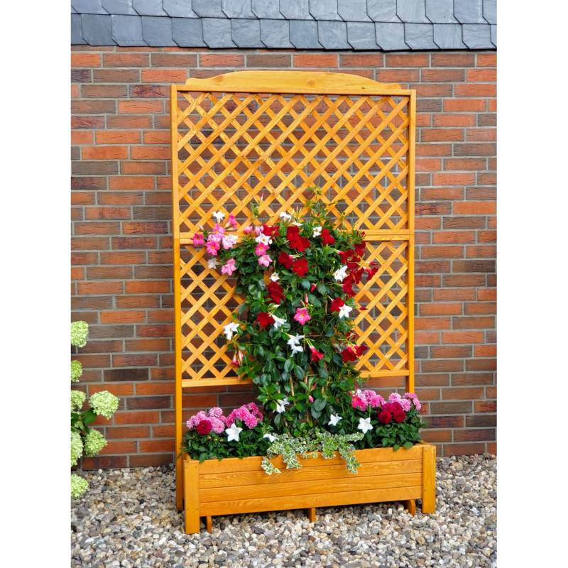 Promadino Rankkasten Romantica Kiefernholz (BxTxH) 120 cm x 38 cm x 210 cm von Promadino