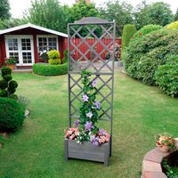 promadino Rankhilfe "Botanica" Rankkasten, BxTxH: 69x32x210 cm promadino Rankhilfe "Botanica" Rankkasten, BxTxH: 69x32x210 cm von Promadino